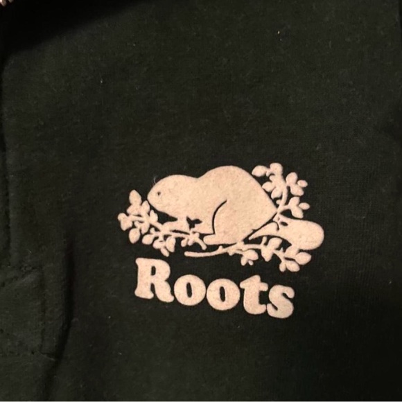 Roots quarter zip sweater. Super comfortable & versatile. - Picture 3 of 4